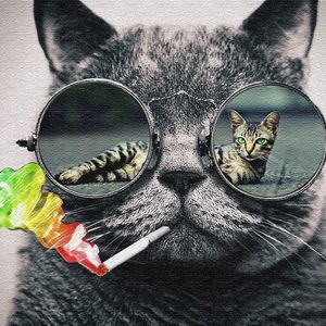 Meet your Posher, Tim